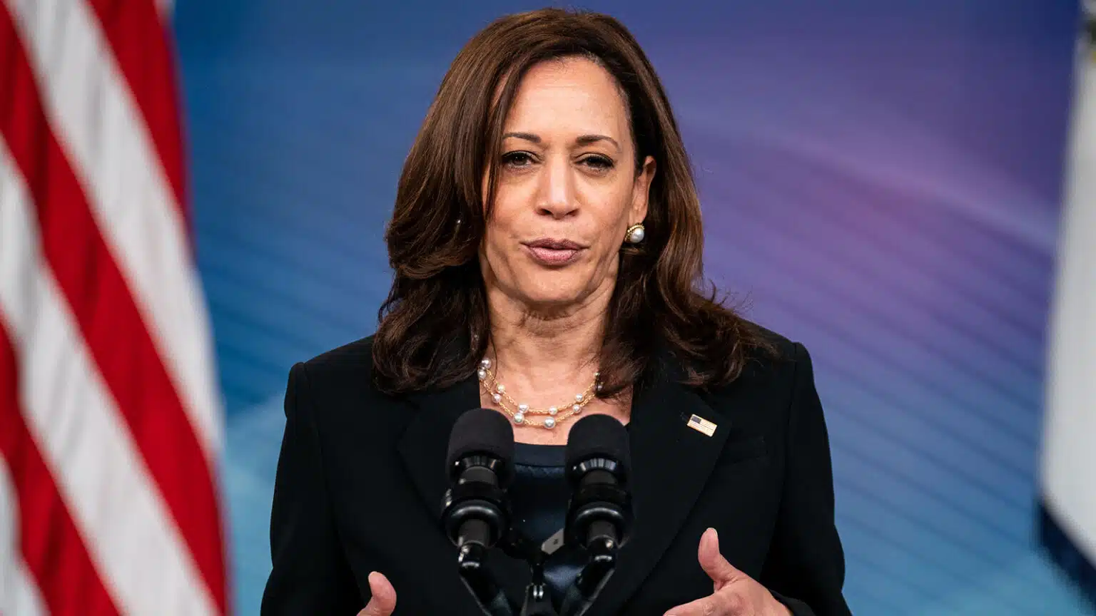 Kamala Harris Says She Is Prepared To Take Over For Biden If Needed ...